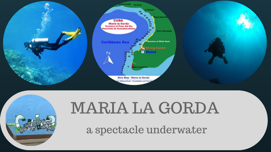 Ofertas cursos de buceo Padi en Varadero