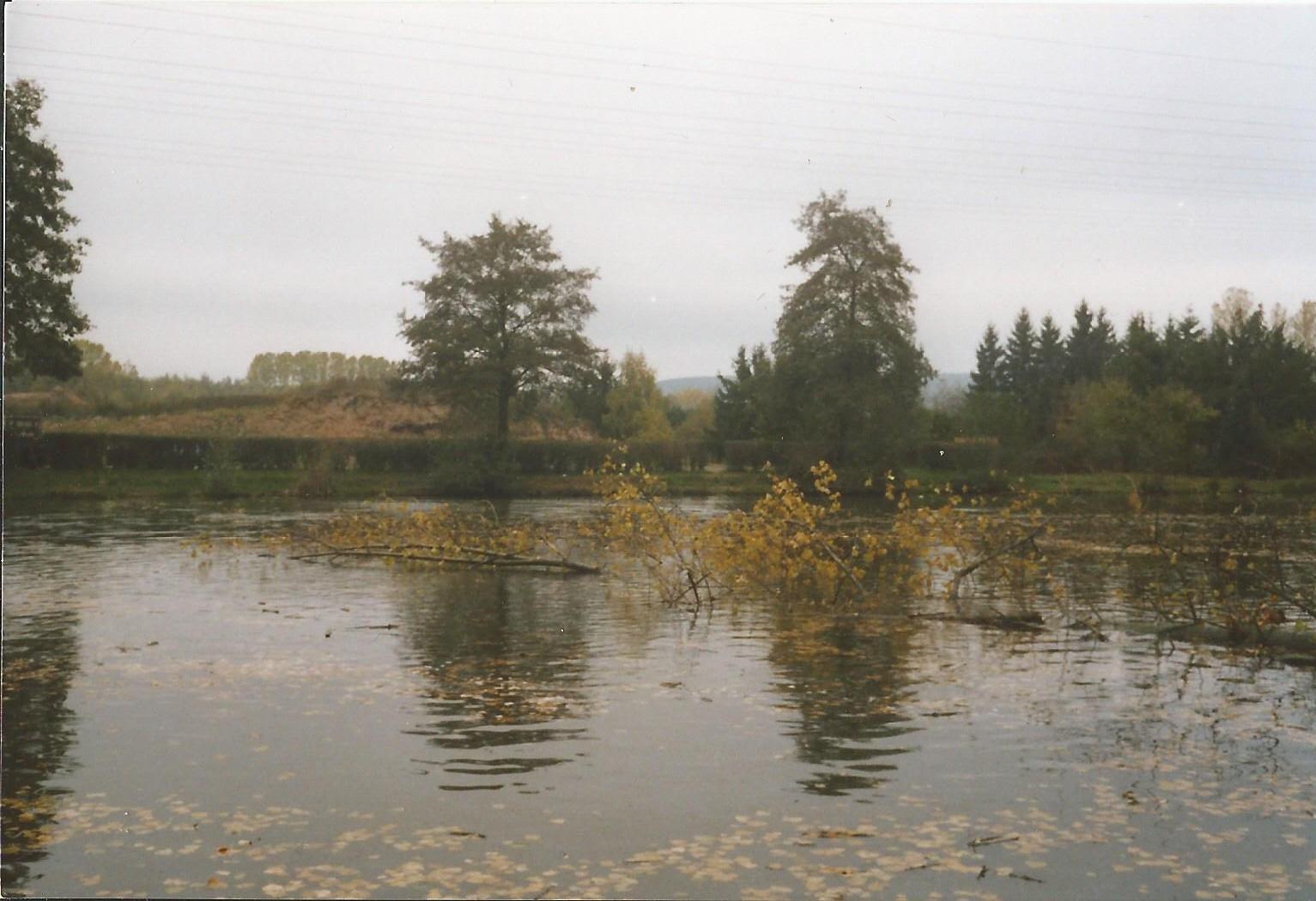 Baumfällarbeiten anfang der 2000er