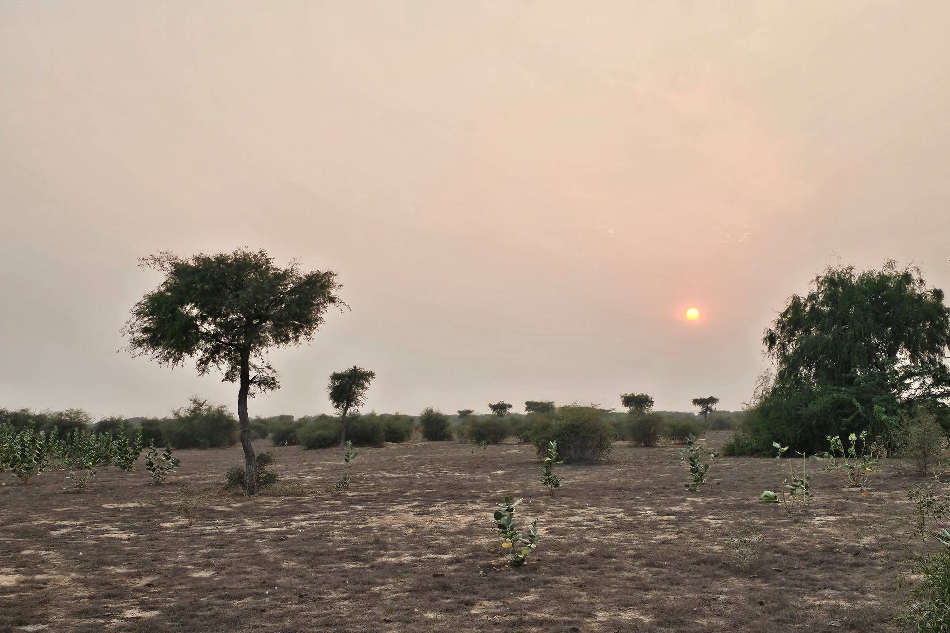 Wasserkrise in Bangalore
