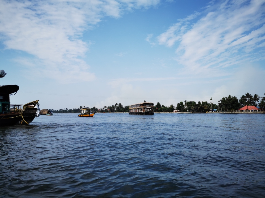 Kerala Backwaters - traditionelle Boote aus Bambus und Aanjiils Holz 