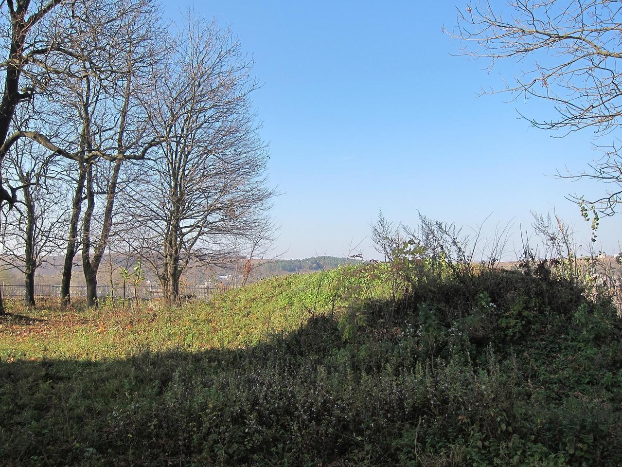 Залишки пивниць замку-палайу.