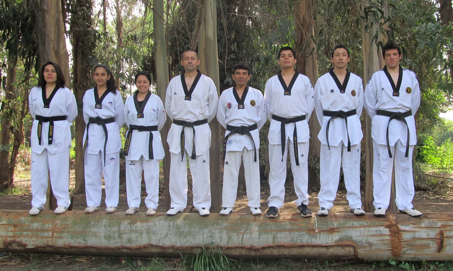 Encuentro Cinturones Negros F-K Isla de Maipo 31-10-2015