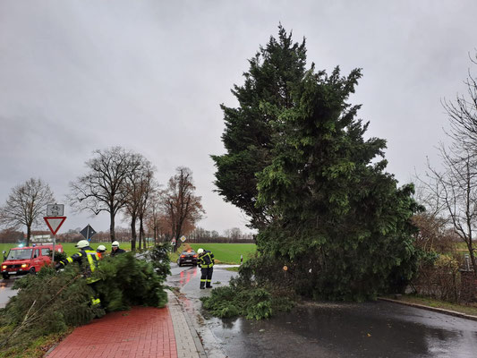 Einsatz: [T1] Sturmschaden