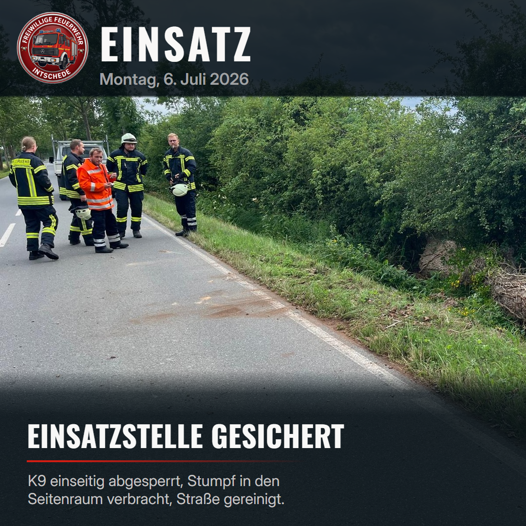 Einsatz: [T1] Baum auf Straße
