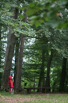 Lernort Natur: Kind entdeckt den Wald