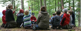 Lernort Natur: Schüler im Wald