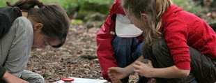 Klassenzimmer Natur: Kinder lernen draussen