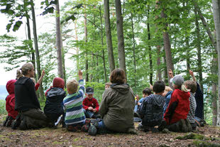 Lernort Natur: Schüler im Wald