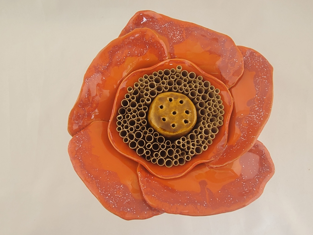 Orange/himbeere, verfügbar