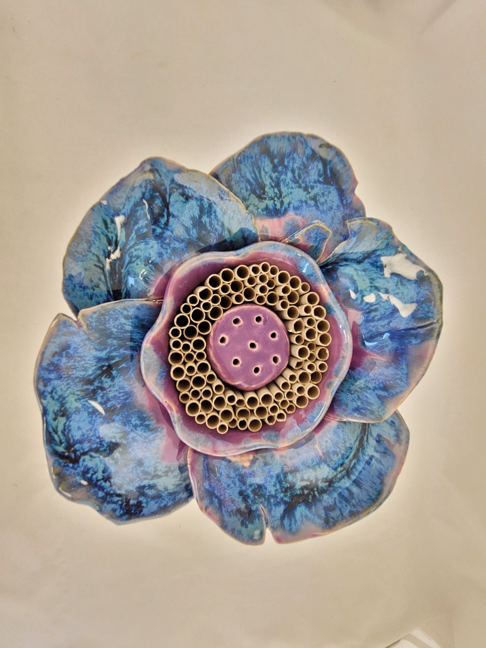 Aqua-violett, verfügbar