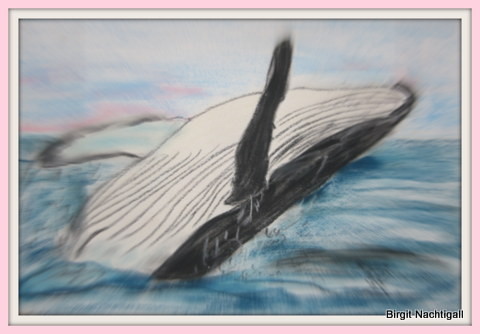 Orka mit Pastellkreide gemalt, auf Auquarellpapier. Kauf des Bildes: E- Mail: 1adler-nachtigall@web.de, 