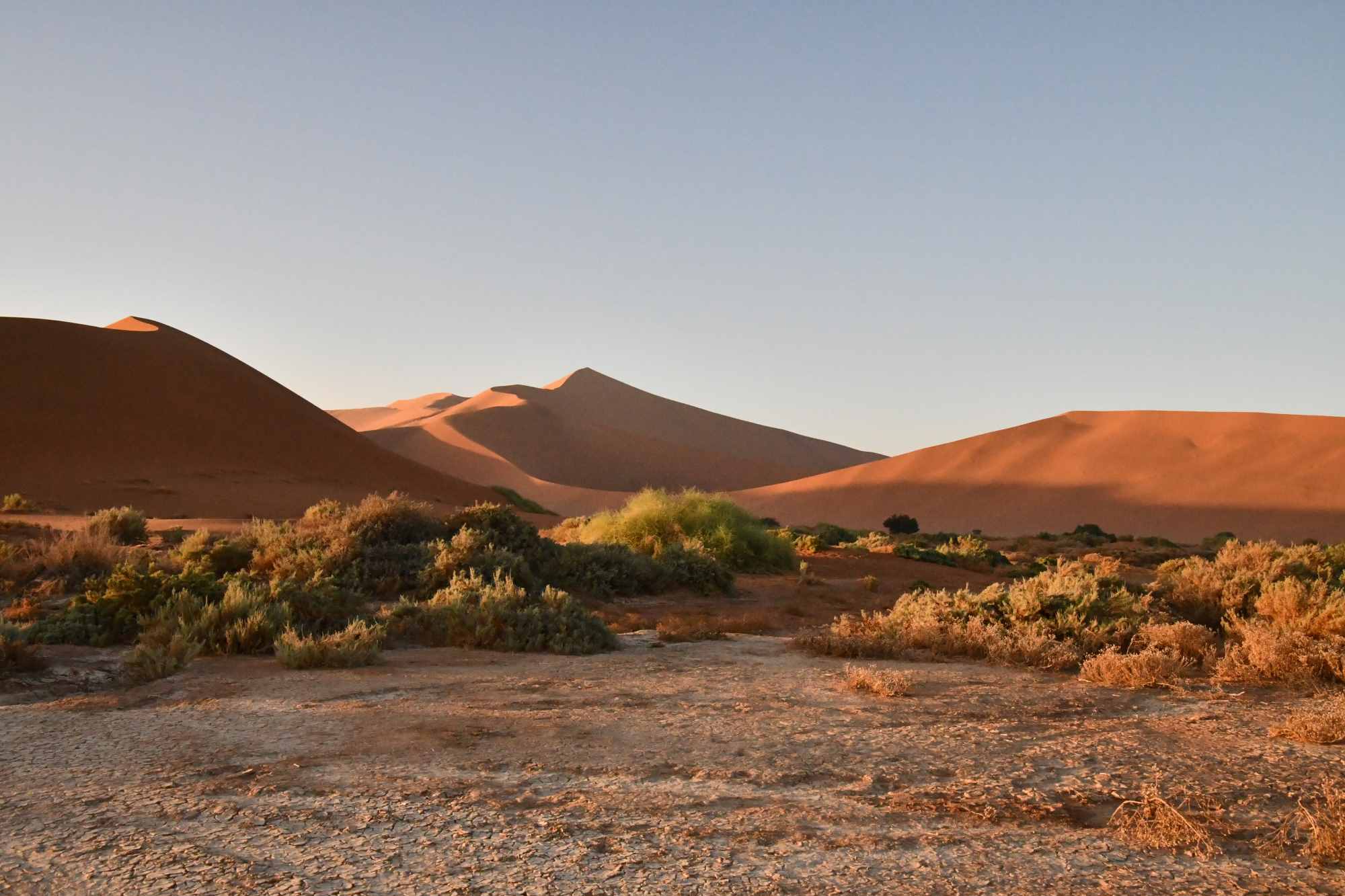 Tag 21 - 31.03.23 Sossusvlei