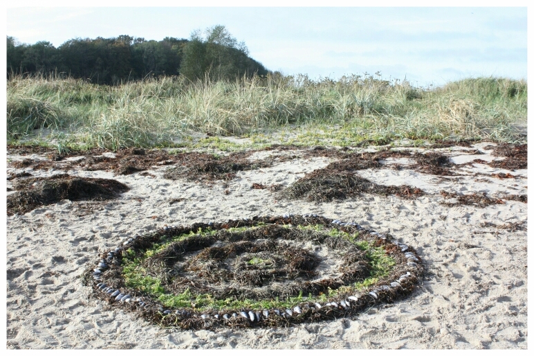 Bild vom Ostseestrand mit gestalteter Form aus braunem sowie grünem Seegras mit Miesmuscheln darauf gelegt es erinnert an Kreise wie wenn Wassertropfen auf Wasser fällt