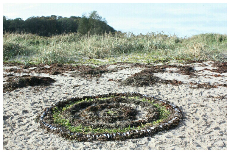 Ostseestrand mit gestalteter Form aus braunem sowie grünem Seegras mit Miesmuscheln darauf gelegt es erinnert an Kreise wie wenn Wassertropfen auf Wasser fällt