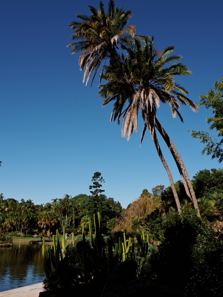 Sydney, Australia, Royal Botanic Garden