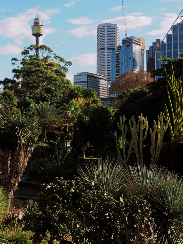 Sydney, Australia, Royal Botanic Garden