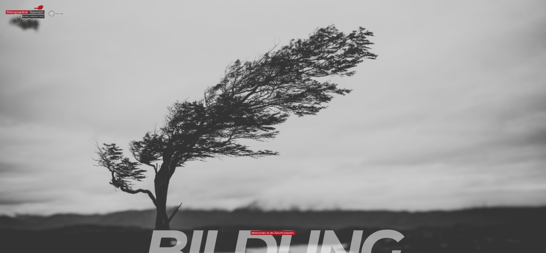 Bildung ist Widerstand