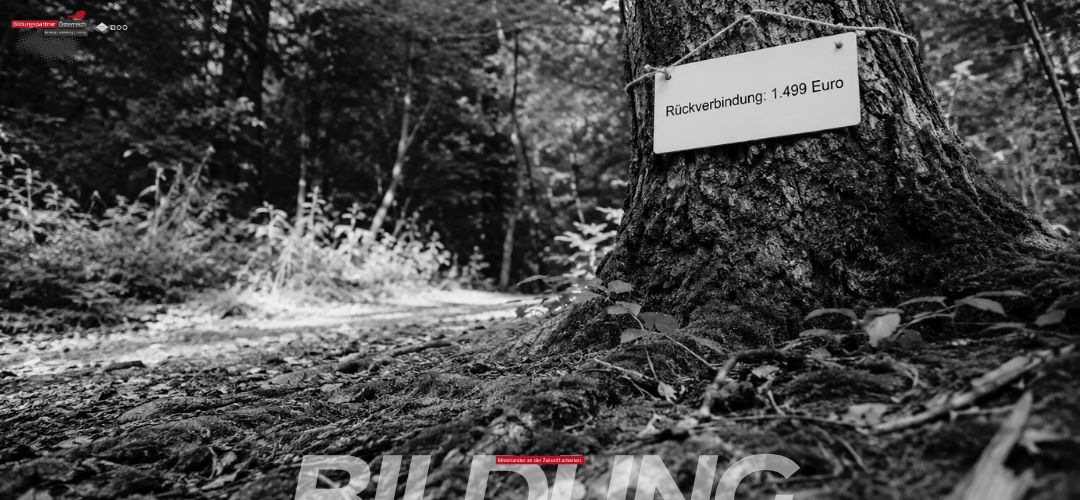 Erlösungsversprechen