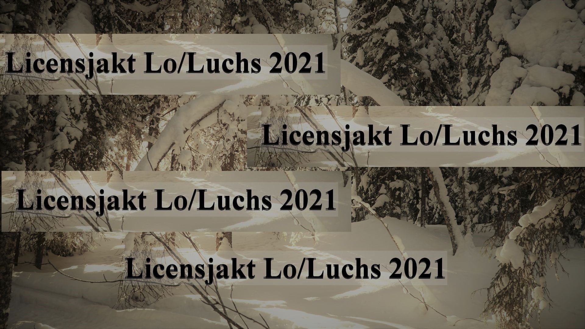 Licensjakt Lo/Luchs im Jahr 2021