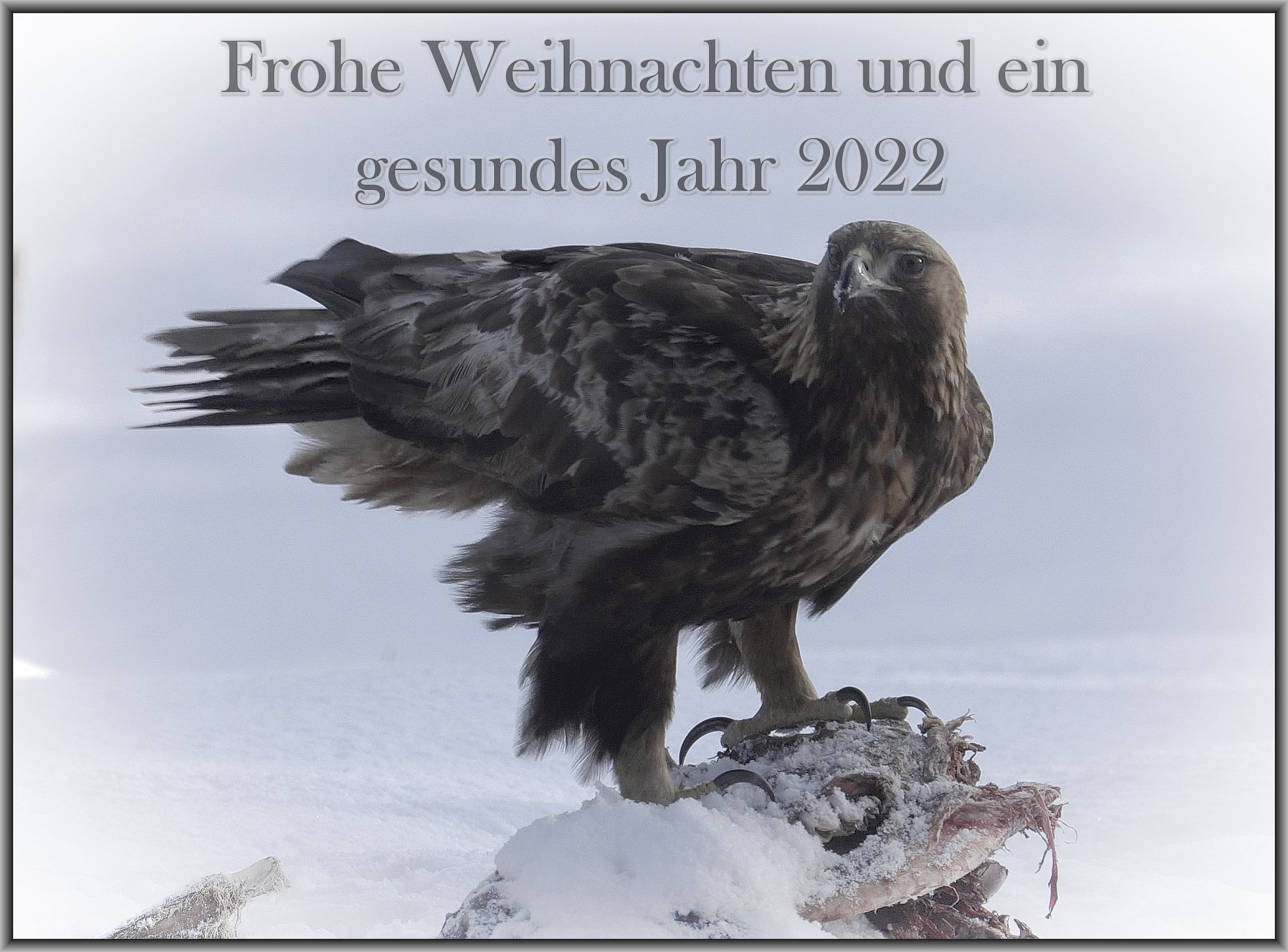 Weihnachten