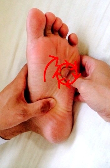 心臓、脾臓、肝臓、胆嚢　反射区　セルフリフレ