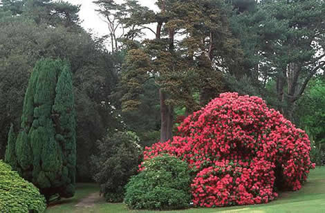 Jardin des Moutiers de Varengeville sur mer