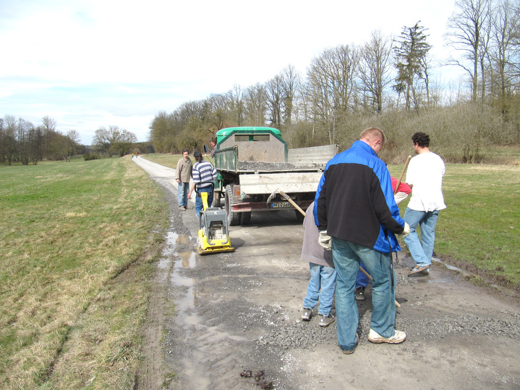 2009 - 20.03. - Pflegemaßnahme Lienzinger Weg