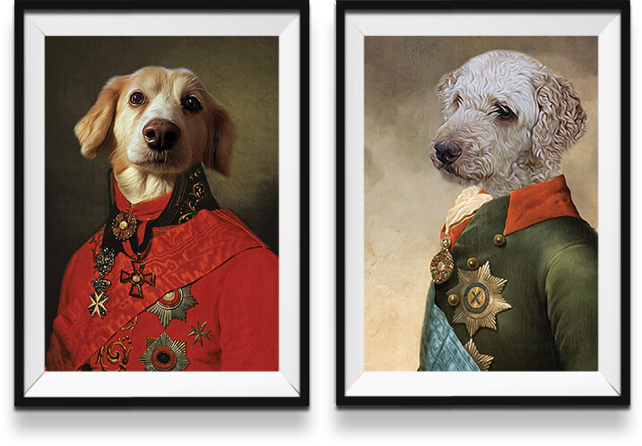 Colour portraits of dogs in military uniforms in frames on a white wall