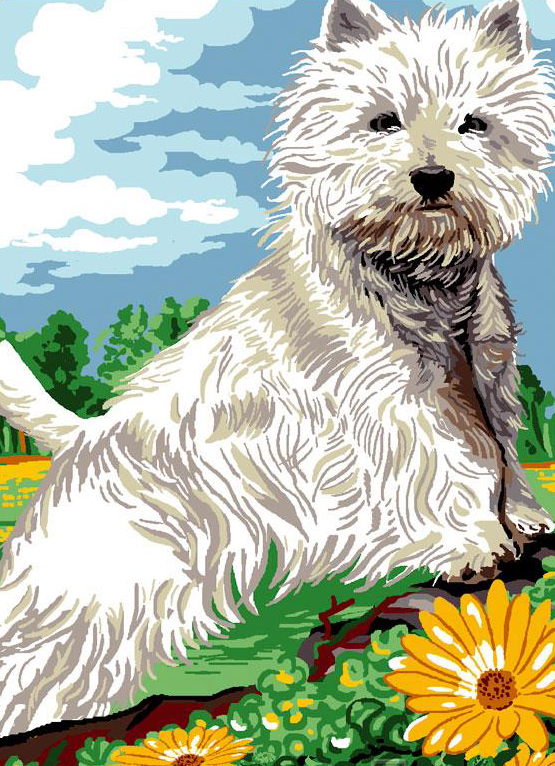 Animali Benvenuti Su La Casa Del Mezzo Punto