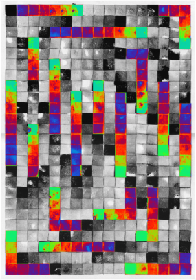 Freeze frame of animated GIF. See Gallery for animated Version.