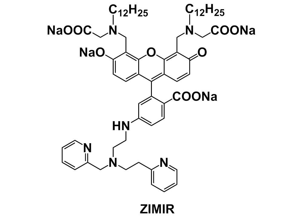 ICRF-193 ≥95% (by HPLC) | ICRF-193
