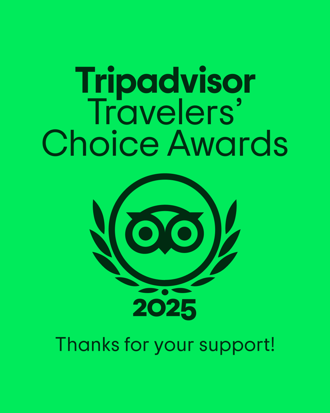¡Por décimo año consecutivo, hemos recibido el premio Travellers’ Choice de TripAdvisor!