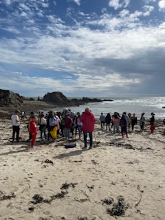 Découvrir la laisse de mer