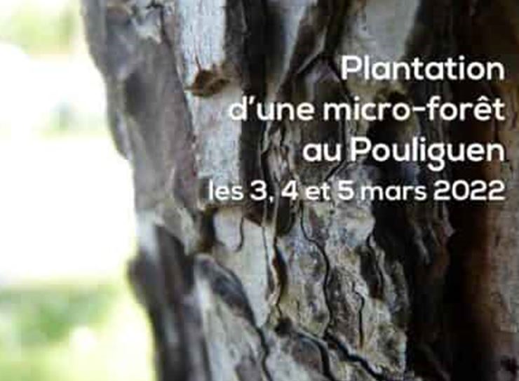 Micro-forêt au Pouliguen