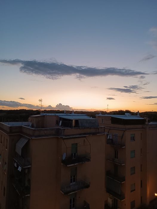 Zanzare?!? Collaudata anche l'acqua Base con la foglia di geranio.... Ho potuto fare giardinaggio fino ad ora.... AcquaBase?!? Molti non sanno nemmeno cos'è! È