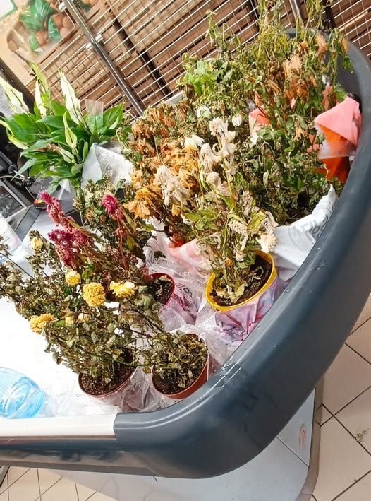 Salviamo il salvabile! Tutti, ma proprio tutti possono usare AcquaBase per le preparazioni più idonee. AcquaBase che è l'acqua potabile di Torino, la stessa che