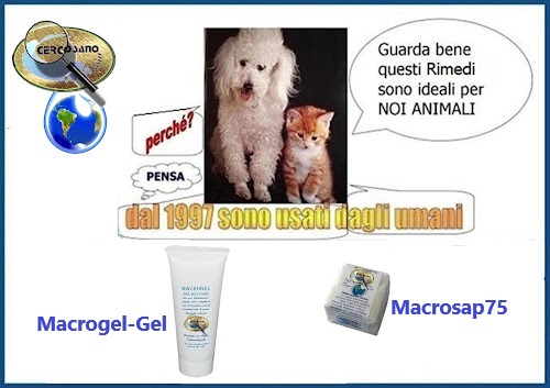 Come utilizzare Rimedi Alternativi (CercoSano) composti in AcquaBase, per aiutare i nostri amici pelosetti e tutto il mondo animale!AcquaBase! L'acqua di Torino