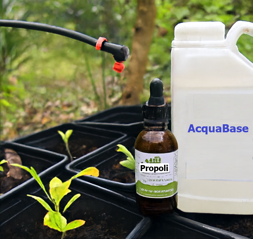 Agrumi che Nascono dal Seme: Tradizione e Pazienza. Il Metodo AcquaBase e la Propoli: Nutrire con Intelligenza e Cura