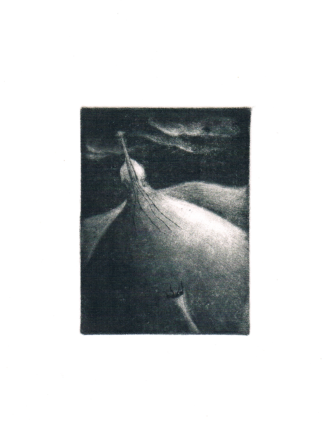 N.BERZ_musique2_2016_gravure_20x25-120€