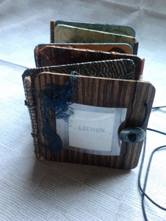 Lichen3