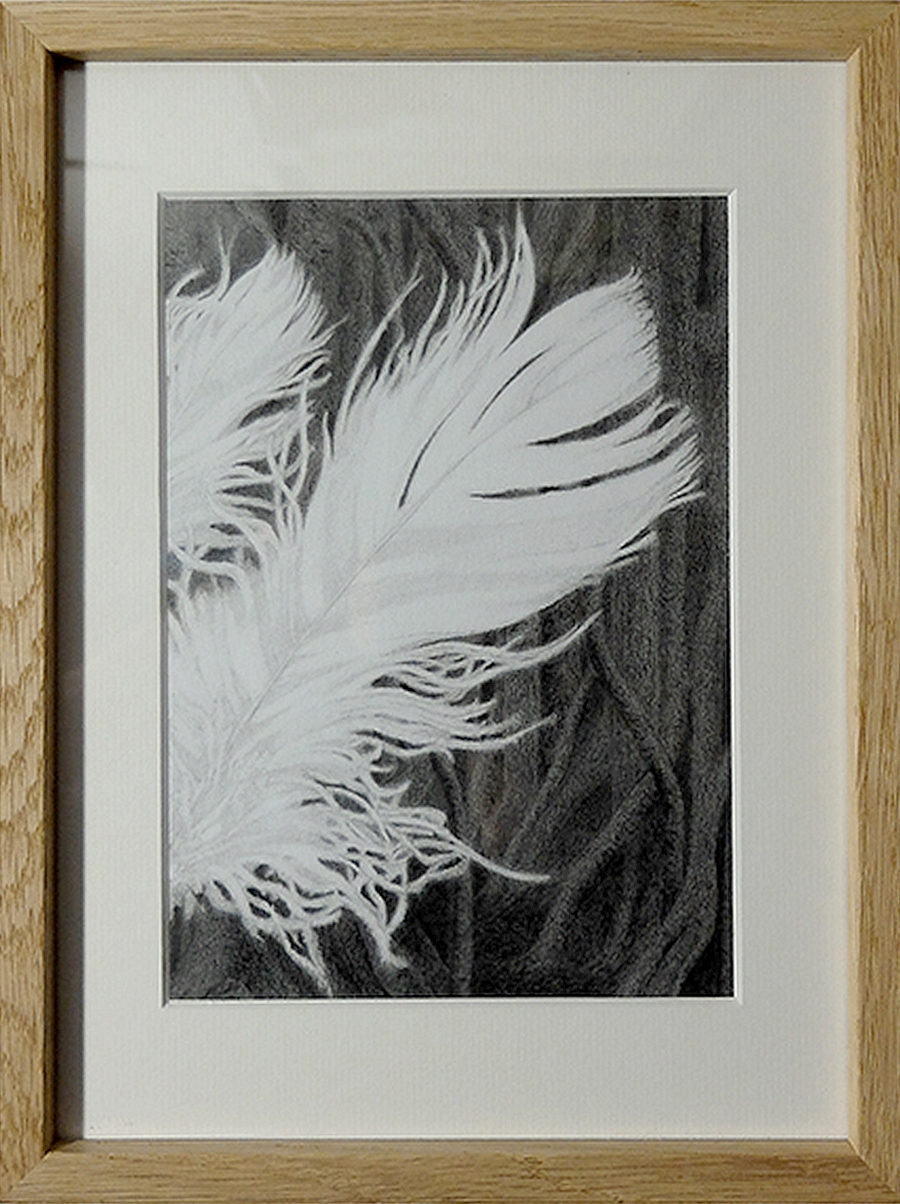 NIASOMAG_Plumes_2023_Crayon-graphite-et-pierre-noire_18x24_90€