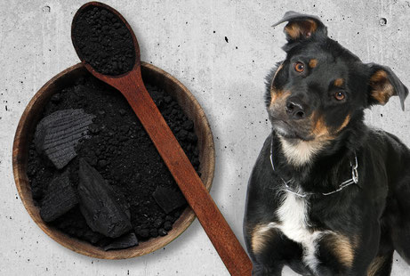 How Versatile Is Activated Charcoal?