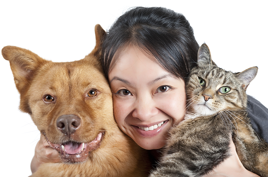 How Clay Supplements Can Help To Support Your Pet’s Health