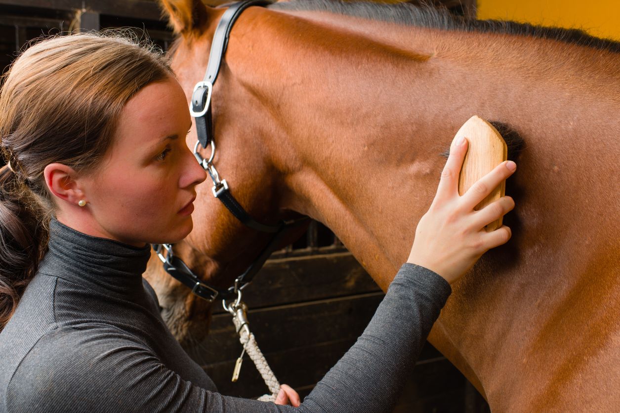 How Green Clay Can Help Your Horse Move Smoothly Into Spring