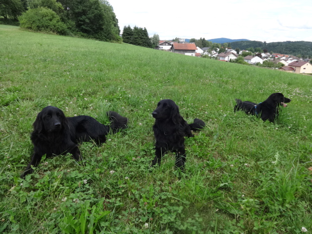 Mama Jana mit Töchtern Amy und Alma