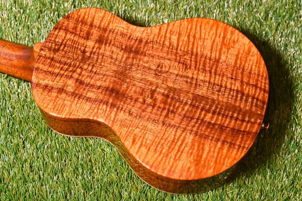 新作揃え □Mahogany ページ！ 1518856009 - Seris- -1M MODEL 弦楽器