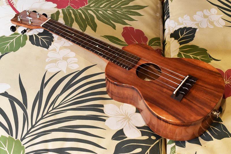 Used concert ukulele clearance