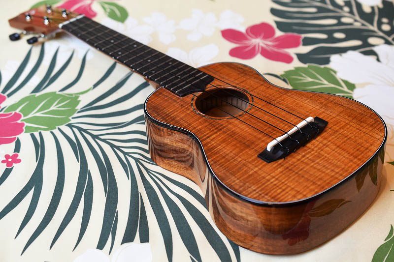 KIWAYA ウクレレ K-401C ハードケース付