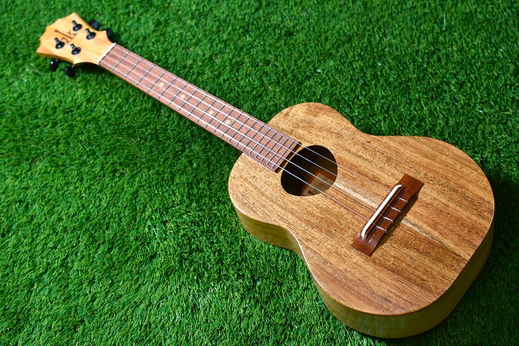 コアロハ テナー ウクレレ Koaloha KTO-10 UG Tenor