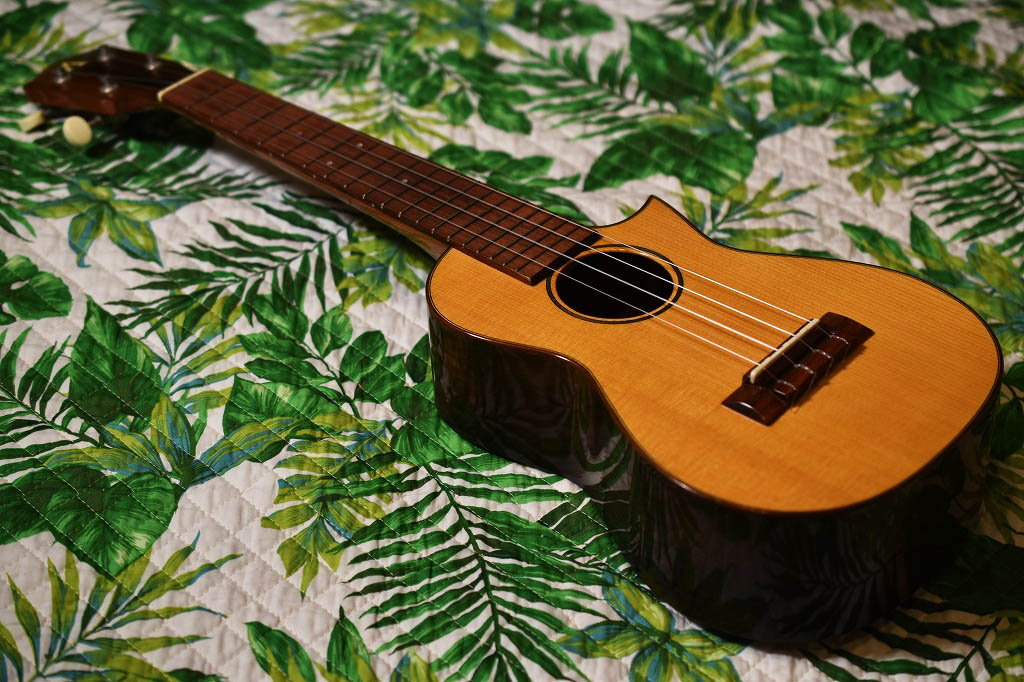 ☆SOLD☆USED/ASTURIAS SOLO UKULELE Spruce × Jacaranda 【USED
